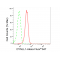 LifeSab™ KD-Validated DYNLL1 Rabbit mAb (20 μl)