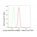 LifeSab™ KD-Validated EEA1 Rabbit mAb (20 μl)