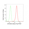 LifeSab™ KD-Validated EIF2AK4 Rabbit mAb (20 μl)