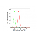 LifeSab™ KD-Validated ELP4 Rabbit mAb (20 μl)