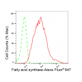 LifeSab™ KD-Validated FASN Rabbit mAb (20 μl)