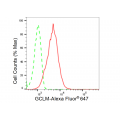 LifeSab™ KD-Validated GCLM Rabbit mAb (20 μl)