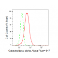 LifeSab™ KD-Validated GLA Rabbit mAb (20 μl)