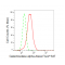 LifeSab™ KD-Validated GLA Rabbit mAb (20 μl)