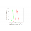 LifeSab™ KD-Validated GLO1 Rabbit mAb (20 μl)