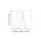 LifeSab™ KD-Validated GLO1 Rabbit mAb (20 μl)