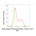 LifeSab™ KD-Validated GOLIM4 Rabbit mAb (20 μl)