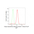 LifeSab™ KD-Validated GORASP1 Rabbit mAb (20 μl)