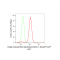 LifeSab™ KD-Validated GORASP1 Rabbit mAb (20 μl)