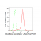 LifeSab™ KD-Validated GPX1 Rabbit mAb (20 μl)