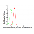 LifeSab™ KD-Validated CNTNAP1 Rabbit mAb (20 μl)