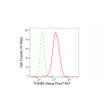 LifeSab™ KD-Validated TCEB2 Rabbit mAb (20 μl)