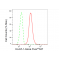 LifeSab™ KD-Validated ELAVL1 Rabbit mAb (20 μl)