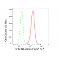 LifeSab™ KD-Validated GEMIN2 Rabbit mAb (20 μl)