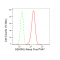 LifeSab™ KD-Validated GEMIN2 Rabbit mAb (20 μl)