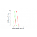 LifeSab™ KD-Validated HRAS Rabbit mAb (20 μl)