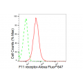 LifeSab™ KD-Validated F11R Rabbit mAb (20 μl)