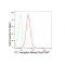 LifeSab™ KD-Validated F11R Rabbit mAb (20 μl)