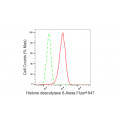 LifeSab™ KD-Validated HDAC6 Rabbit mAb (20 μl)