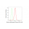 LifeSab™ KD-Validated HDAC6 Rabbit mAb (20 μl)