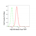 LifeSab™ KD-Validated Hsp105 Rabbit mAb (20 μl)