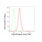 LifeSab™ KD-Validated Hsp105 Rabbit mAb (20 μl)