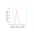 LifeSab™ KD-Validated Galectin 1 Rabbit mAb (20 μl)