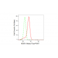 LifeSab™ KD-Validated KSR1 Rabbit mAb (20 μl)