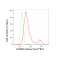 LifeSab™ KD-Validated KHSRP Rabbit mAb (20 μl)