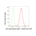 LifeSab™ KD-Validated E2F1 Rabbit mAb (20 μl)