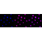 LifeSab™ KD-Validated E2F1 Rabbit mAb (20 μl)