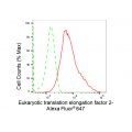 LifeSab™ KD-Validated EEF2 Rabbit mAb (20 μl)