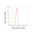 LifeSab™ KD-Validated MLD Rabbit mAb (20 μl)