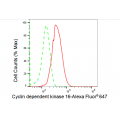 LifeSab™ KD-Validated CDK16 Rabbit mAb (20 μl)