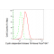 LifeSab™ KD-Validated CDK16 Rabbit mAb (20 μl)