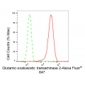 LifeSab™ KD-Validated GOT2 Rabbit mAb (20 μl)