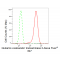 LifeSab™ KD-Validated GOT2 Rabbit mAb (20 μl)