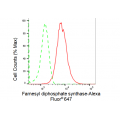 LifeSab™ KD-Validated FDPS Rabbit mAb (20 μl)