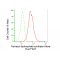 LifeSab™ KD-Validated FDPS Rabbit mAb (20 μl)