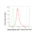 LifeSab™ KD-Validated GLB1 Rabbit mAb (20 μl)