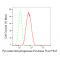 LifeSab™ KD-Validated PDCE2 Rabbit mAb (20 μl)