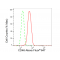 LifeSab™ KD-Validated CD46 Rabbit mAb (20 μl)