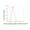 LifeSab™ KD-Validated GAP43 Rabbit mAb (20 μl)