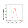 LifeSab™ KD-Validated NF-kB p65 Rabbit mAb (20 μl)