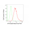 LifeSab™ KD-Validated NF-kB p65 Rabbit mAb (20 μl)