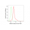 LifeSab™ KD-Validated HDAC3 Rabbit mAb (20 μl)