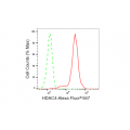 LifeSab™ KD-Validated HDAC4 Rabbit mAb (20 μl)