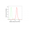 LifeSab™ KD-Validated HDAC4 Rabbit mAb (20 μl)