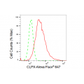 LifeSab™ KD-Validated GLS Rabbit mAb (20 μl)