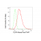 LifeSab™ KD-Validated GLS Rabbit mAb (20 μl)